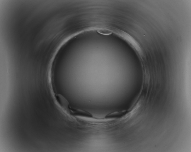 X0000093220958200710101342