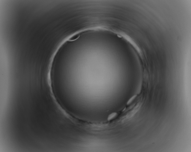 X0000093220959200710101342