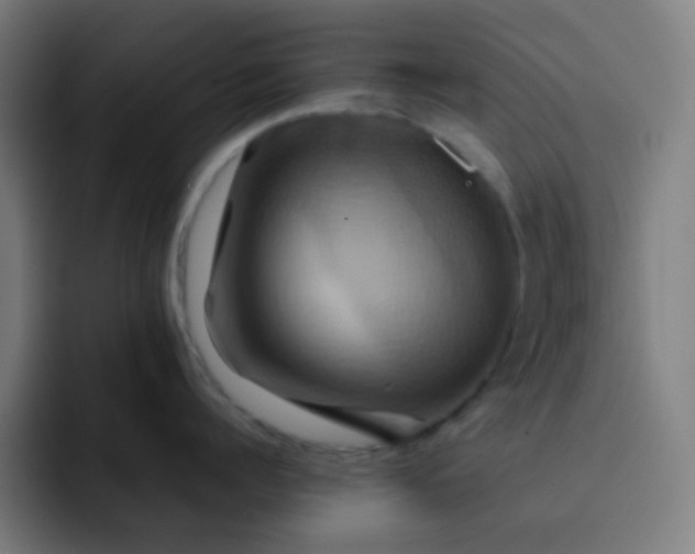 X0000093220960200710101342