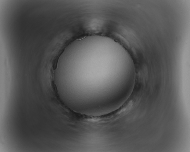 X0000093220961200710101342