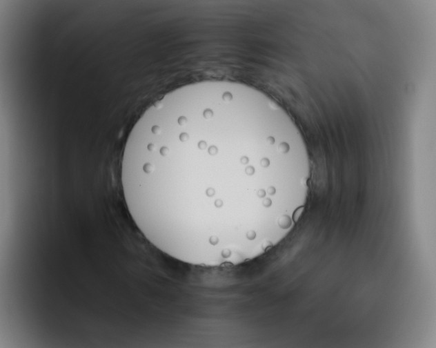 X0000093220962200710101342