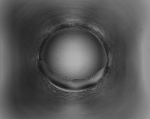 X0000093220965200710101342