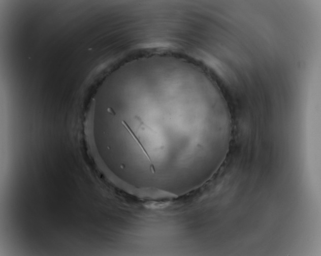 X0000093220967200710101342