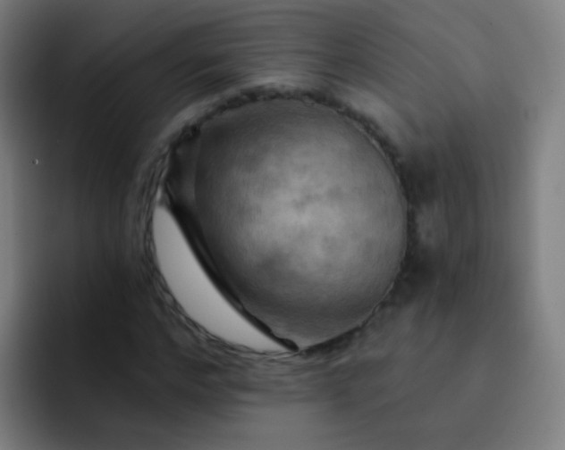 X0000093220968200710101342