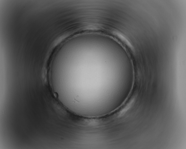 X0000093220970200710101342