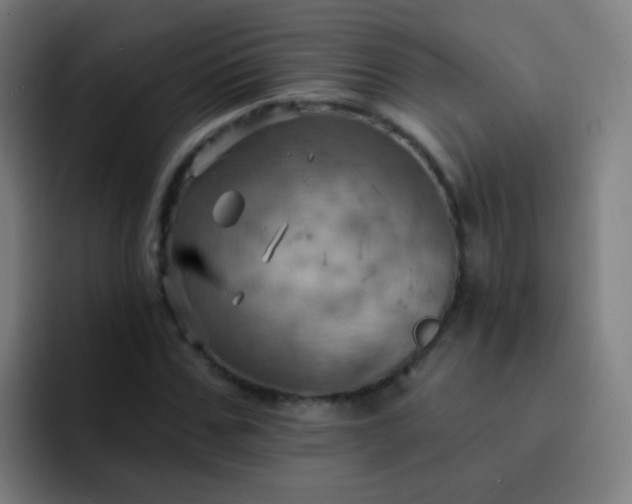 X0000093220971200710101342