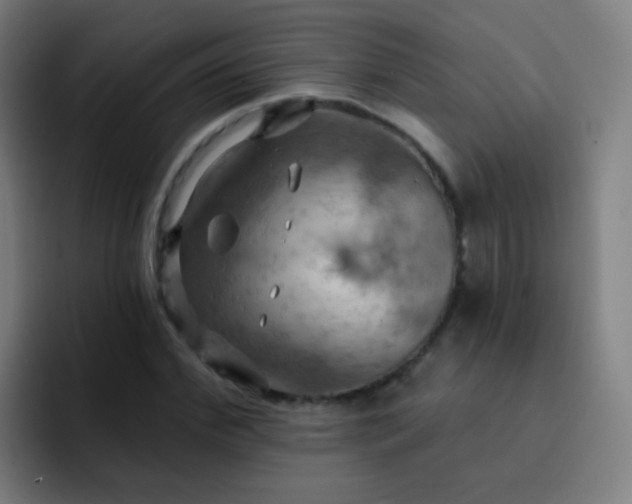 X0000093220972200710101342