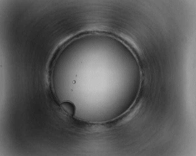 X0000093220974200710101342