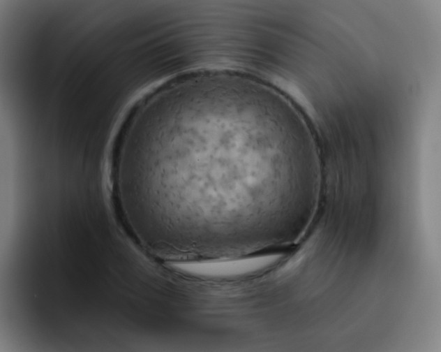 X0000093220979200710101342