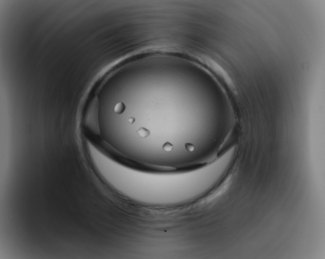 X0000093220981200710101342