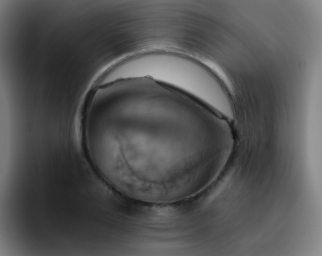 X0000093220983200710101342