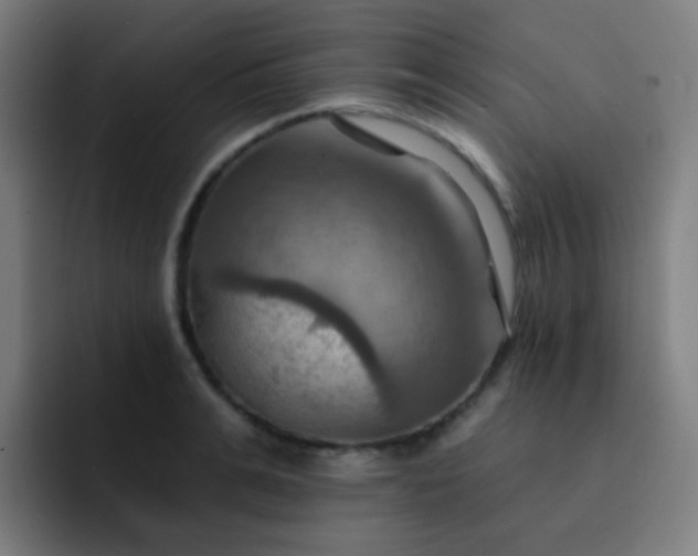 X0000093220991200710101342