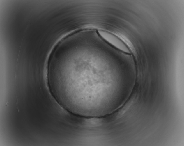 X0000093220992200710101342