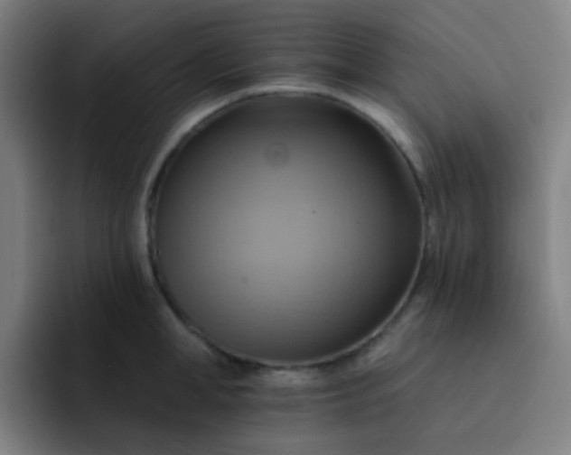 X0000093220998200710101341