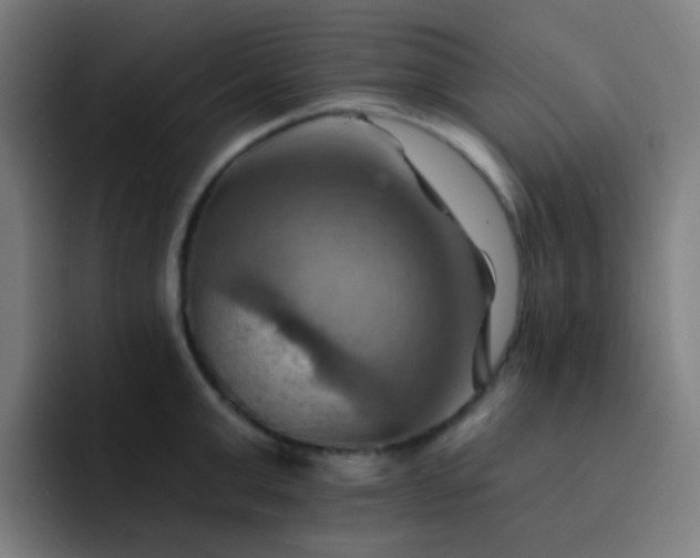 X0000093220999200710101341