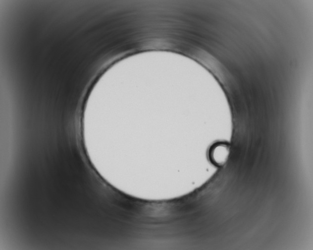 X0000093221000200710101341