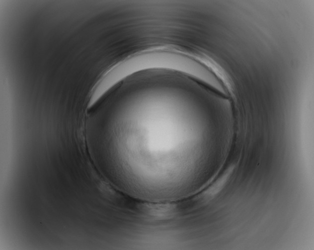 X0000093221001200710101341