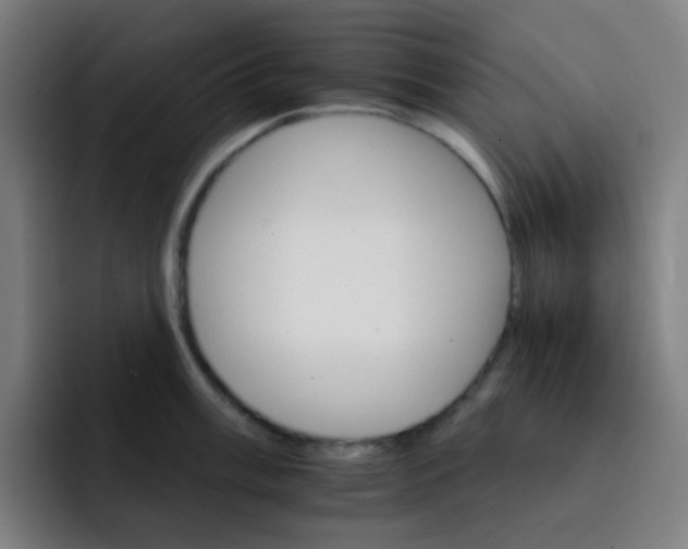 X0000093221003200710101341