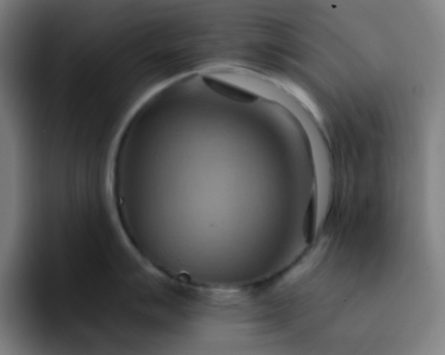 X0000093221007200710101341