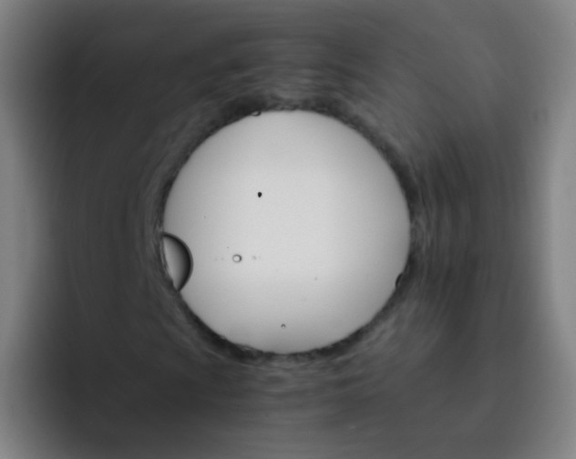 X0000093221009200710101341