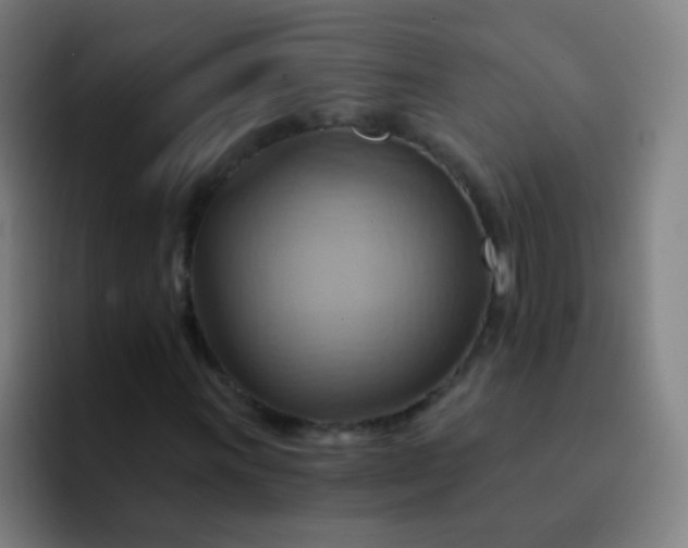 X0000093221011200710101341