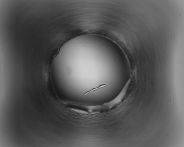 X0000093221012200710101341