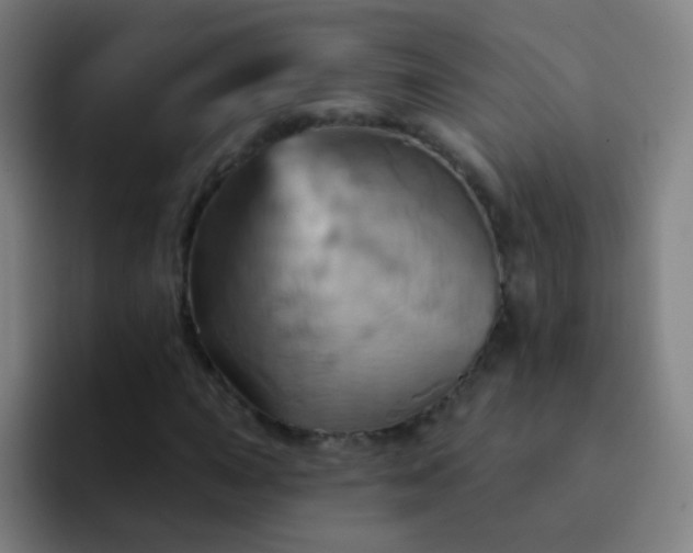 X0000093221015200710101341