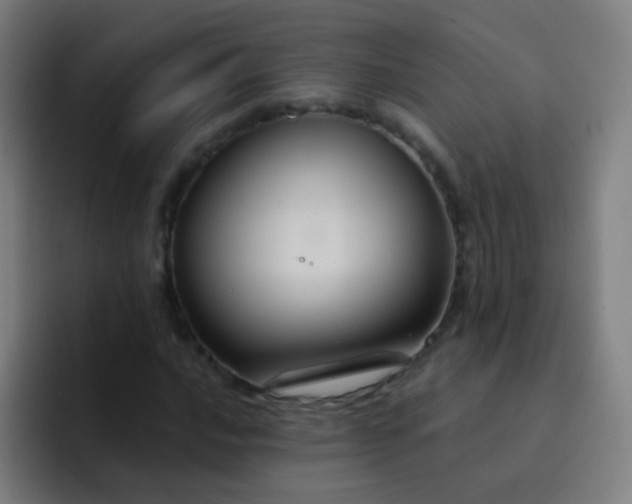 X0000093221016200710101341