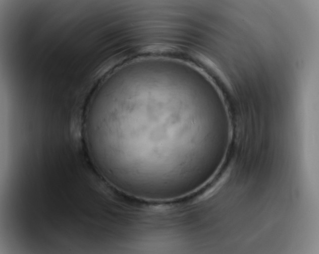 X0000093221017200710101341