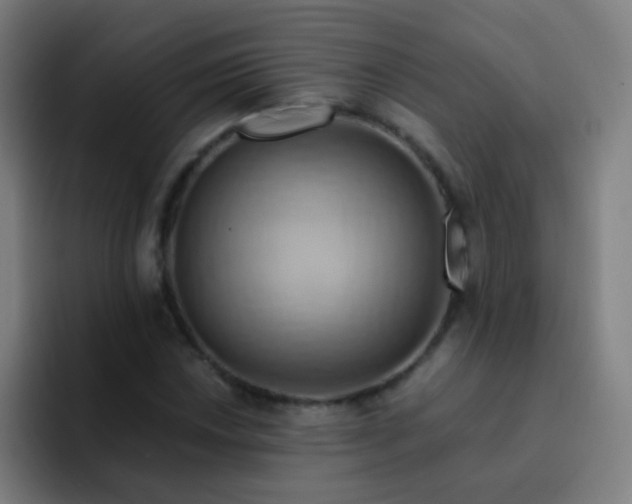 X0000093221018200710101341