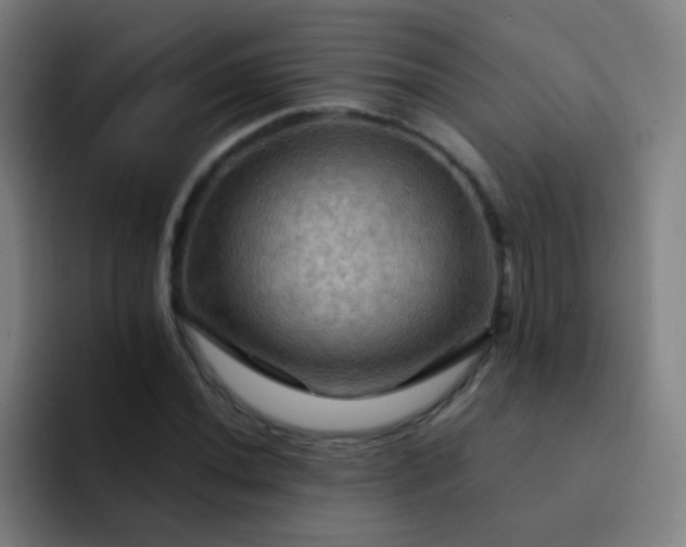 X0000093221020200710101341