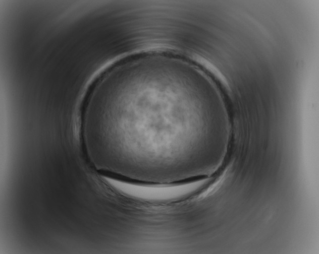 X0000093221021200710101341