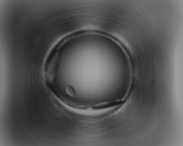 X0000093221022200710101341