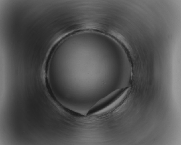 X0000093221024200710101341