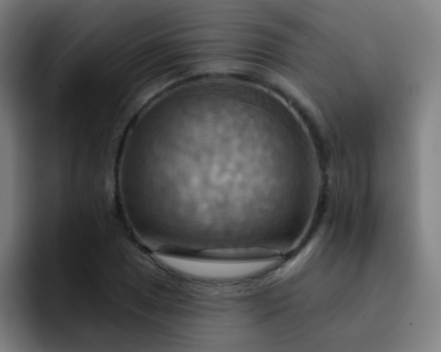 X0000093221025200710101341