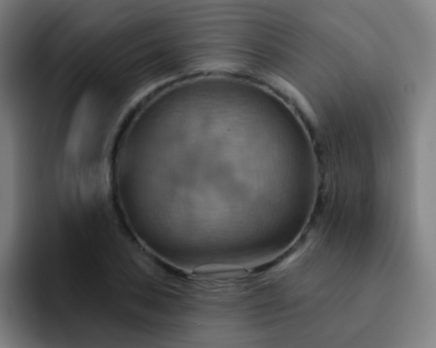 X0000093221027200710101341