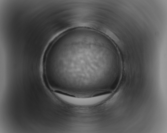 X0000093221028200710101341