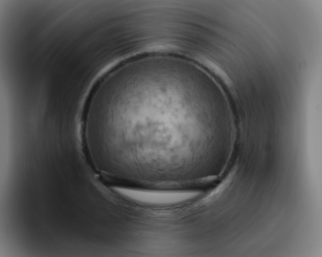 X0000093221029200710101341