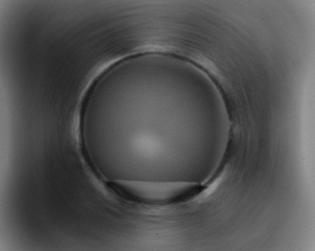 X0000093221030200710101341