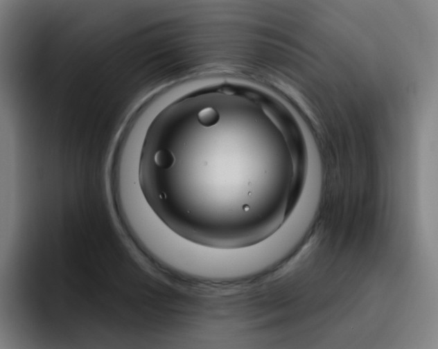 X0000093221034200710101341