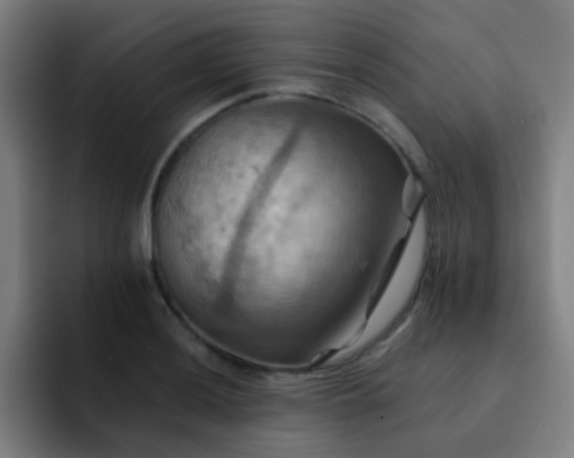 X0000093221036200710101341