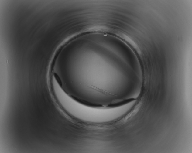 X0000093221037200710101341