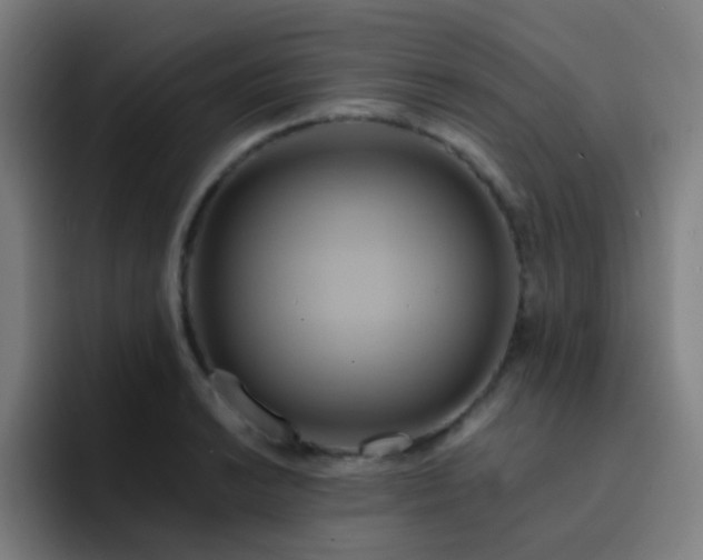 X0000093221038200710101341