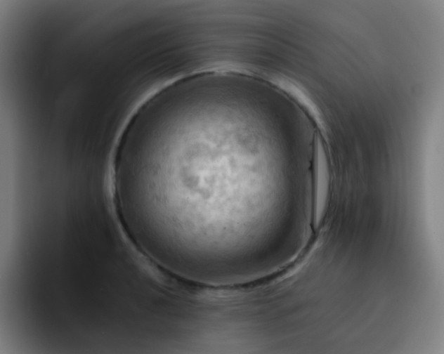 X0000093221040200710101341