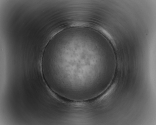 X0000093221041200710101341