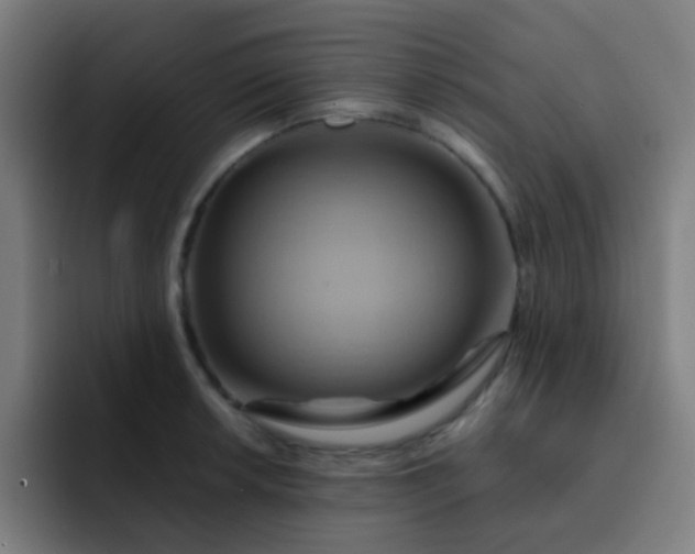 X0000093221042200710101341