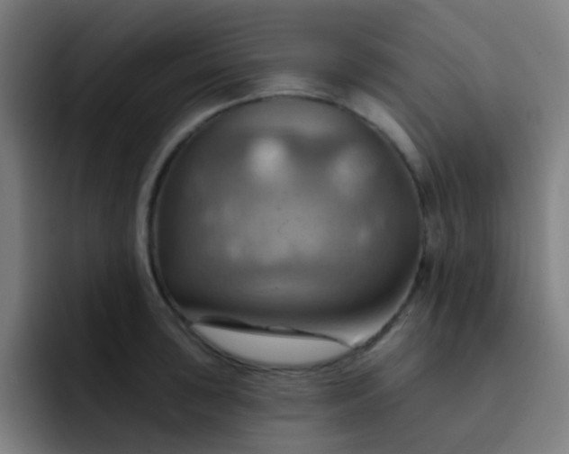 X0000093221043200710101341