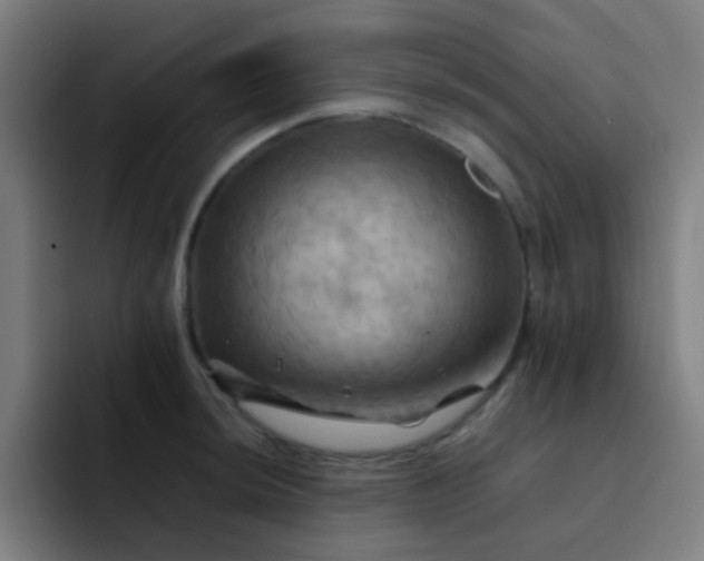 X0000093221044200710101341