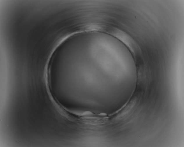 X0000093221047200710101341