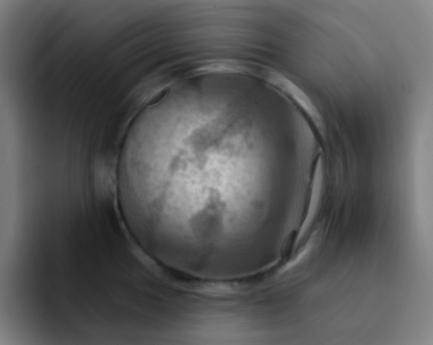 X0000093221049200710101341